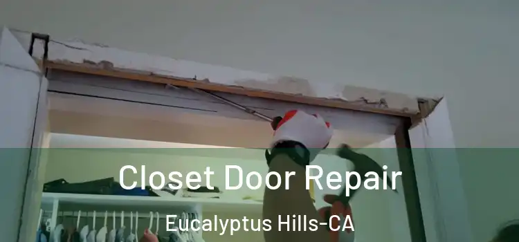  Closet Door Repair Eucalyptus Hills-CA