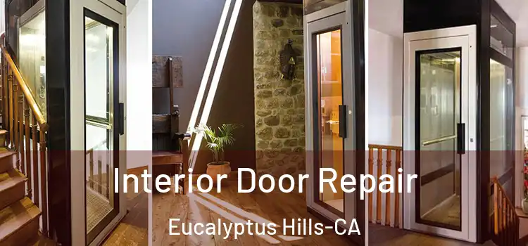  Interior Door Repair Eucalyptus Hills-CA