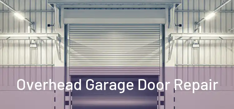  Overhead Garage Door Repair 
