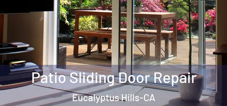  Patio Sliding Door Repair Eucalyptus Hills-CA