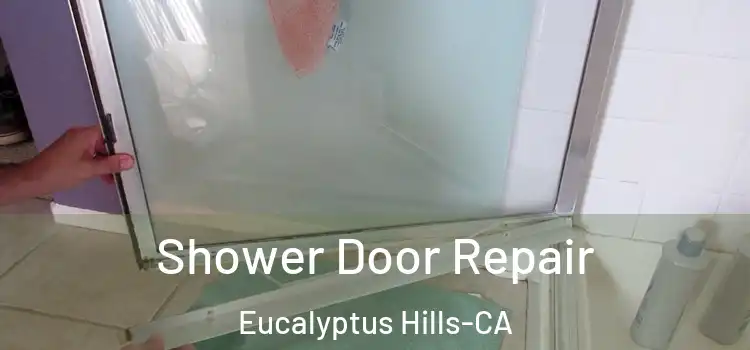  Shower Door Repair Eucalyptus Hills-CA