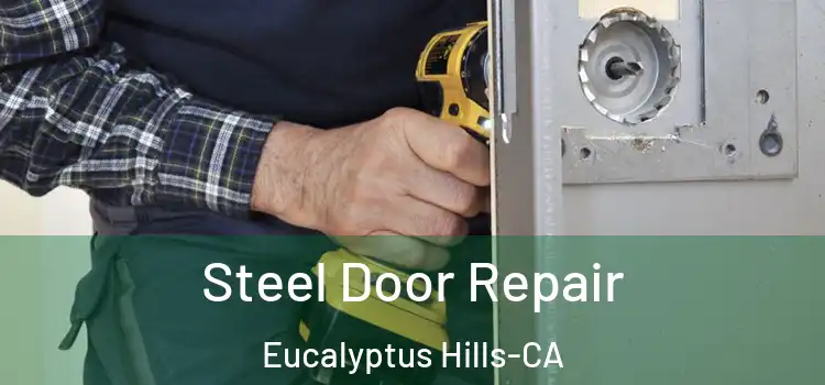  Steel Door Repair Eucalyptus Hills-CA