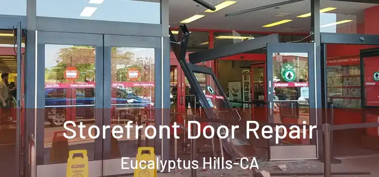  Storefront Door Repair Eucalyptus Hills-CA